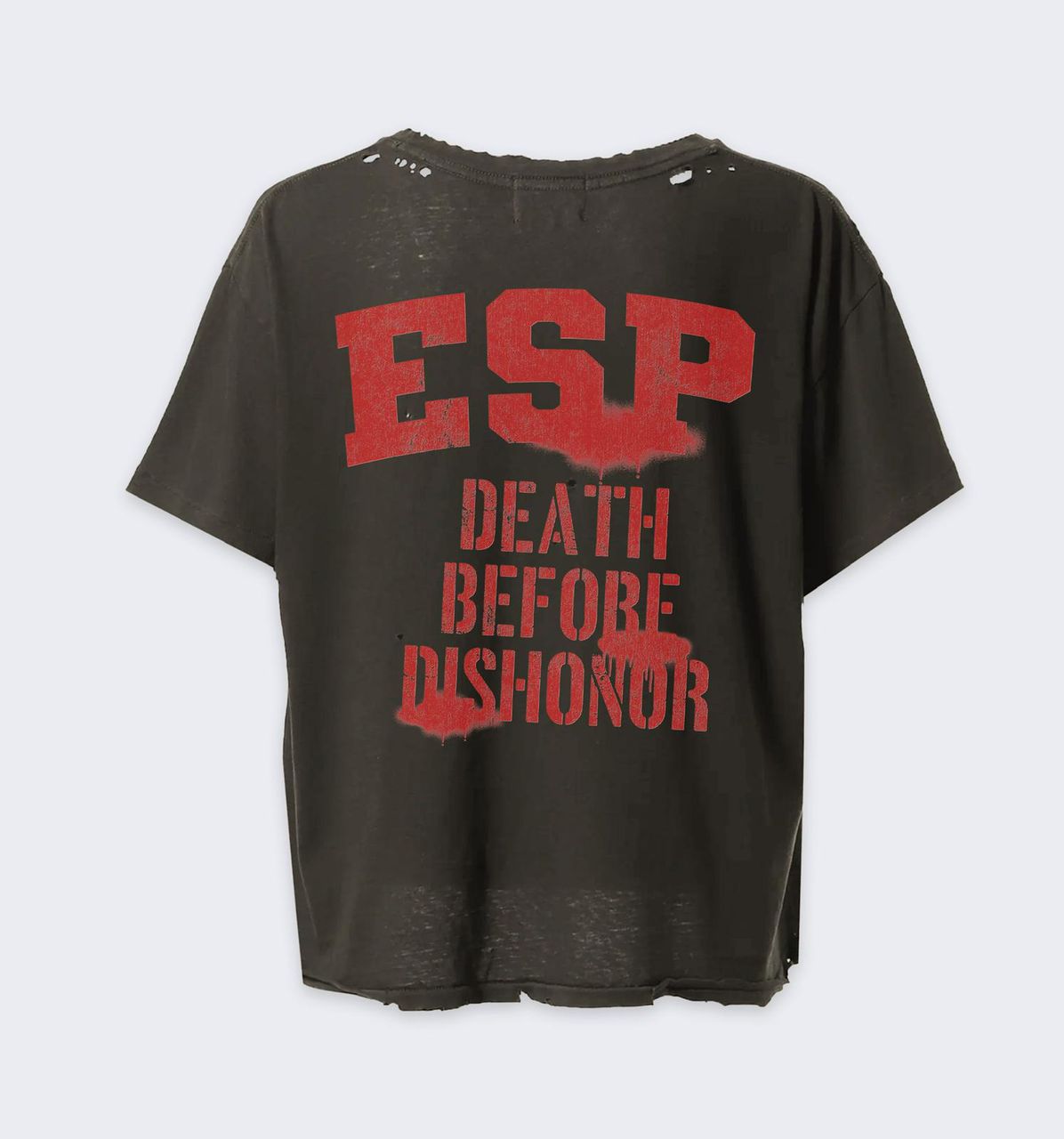 ESP "Death Before Dishonor" T-Shirt