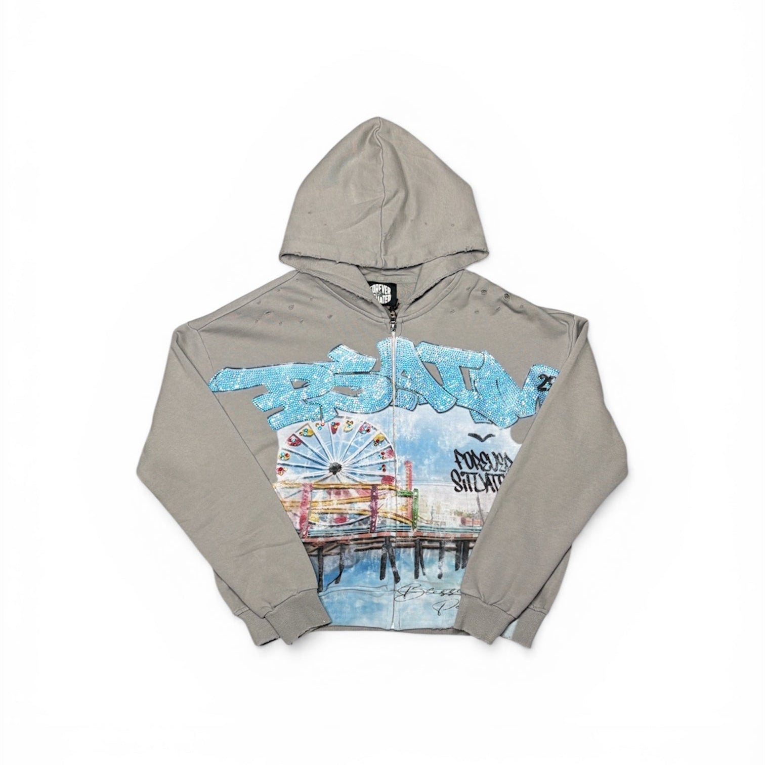Forever Situated Psalm Grey Zip-Up Hoodie